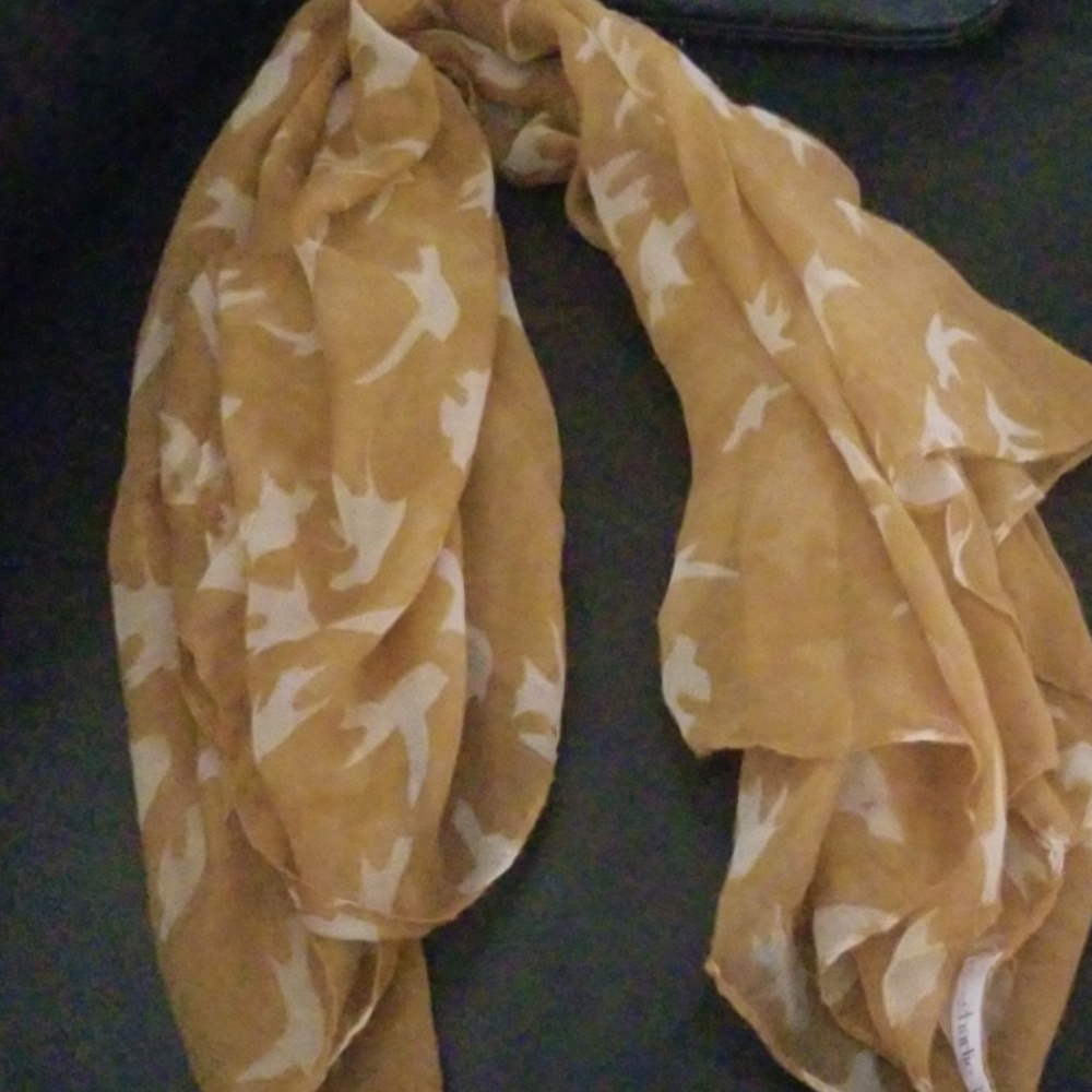 Scarf